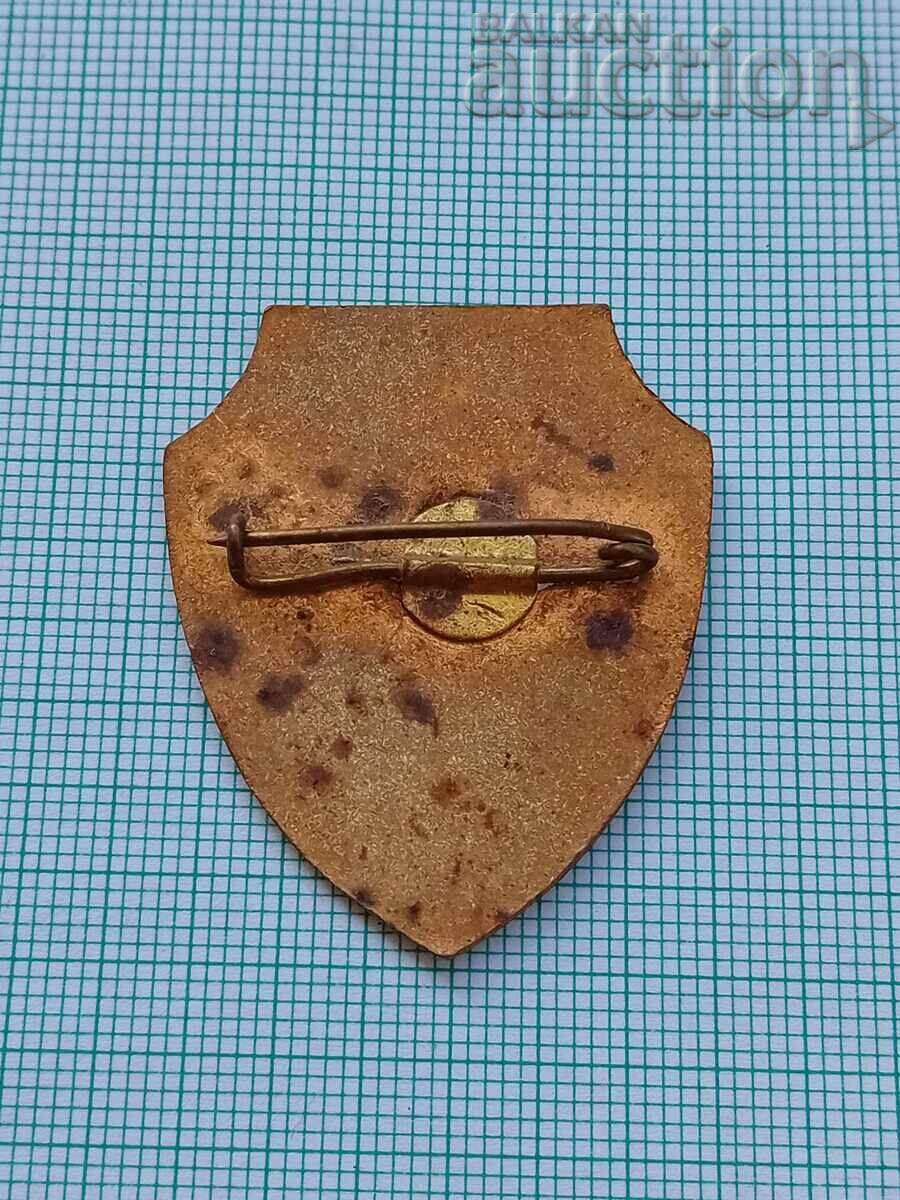 Badge Trooper medal badge - 6 Badge Trooper medal badge - 6