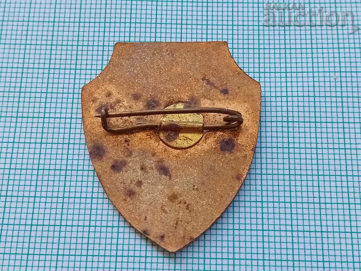 Badge Trooper medal badge - 7 Badge Trooper medal badge - 7