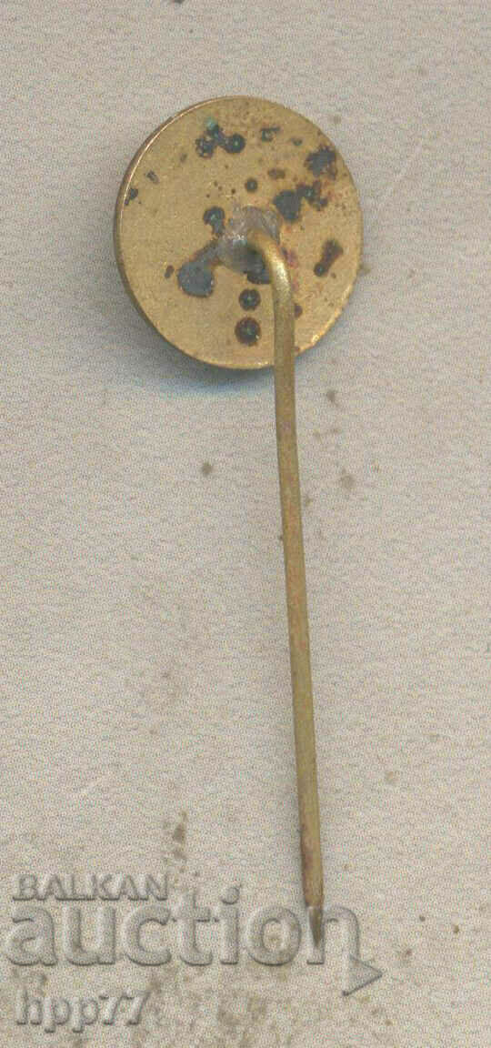 Rare BNA military badge with price 2.50 BGN | € 1.28