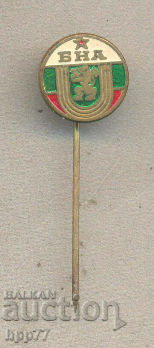 Rare BNA military badge