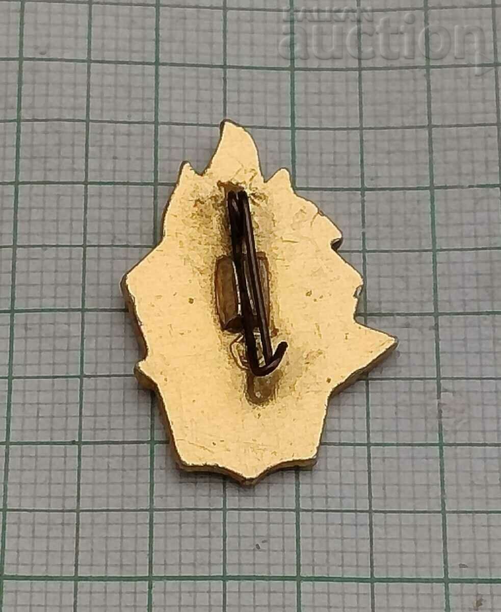 PIONEER USSR YOUTH ORGANIZATION 40 years BADGE with price 3.00 BGN | € 1.53 PIONEER USSR YOUTH ORGANIZATION 40 years BADGE with price 3.00 BGN | € 1.53