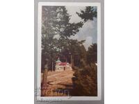 Carte poștală veche Vasil Kolarov Vacanță de vară Pamporovo