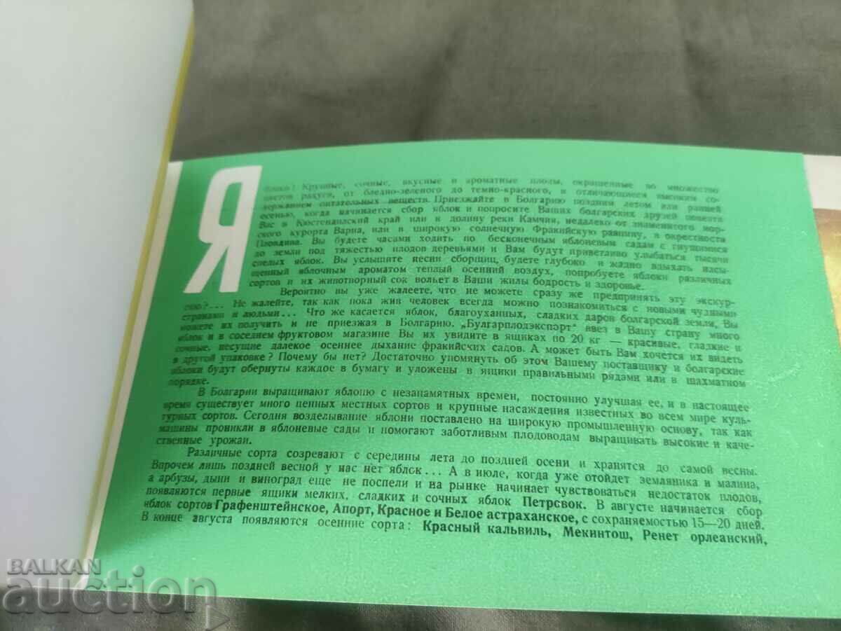 Auction Apples Bulgarploexport Auction Apples Bulgarploexport