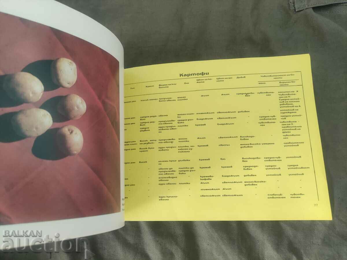 Delivery of Vegetable crops "Seeds and planting material" Delivery of Vegetable crops "Seeds and planting material"