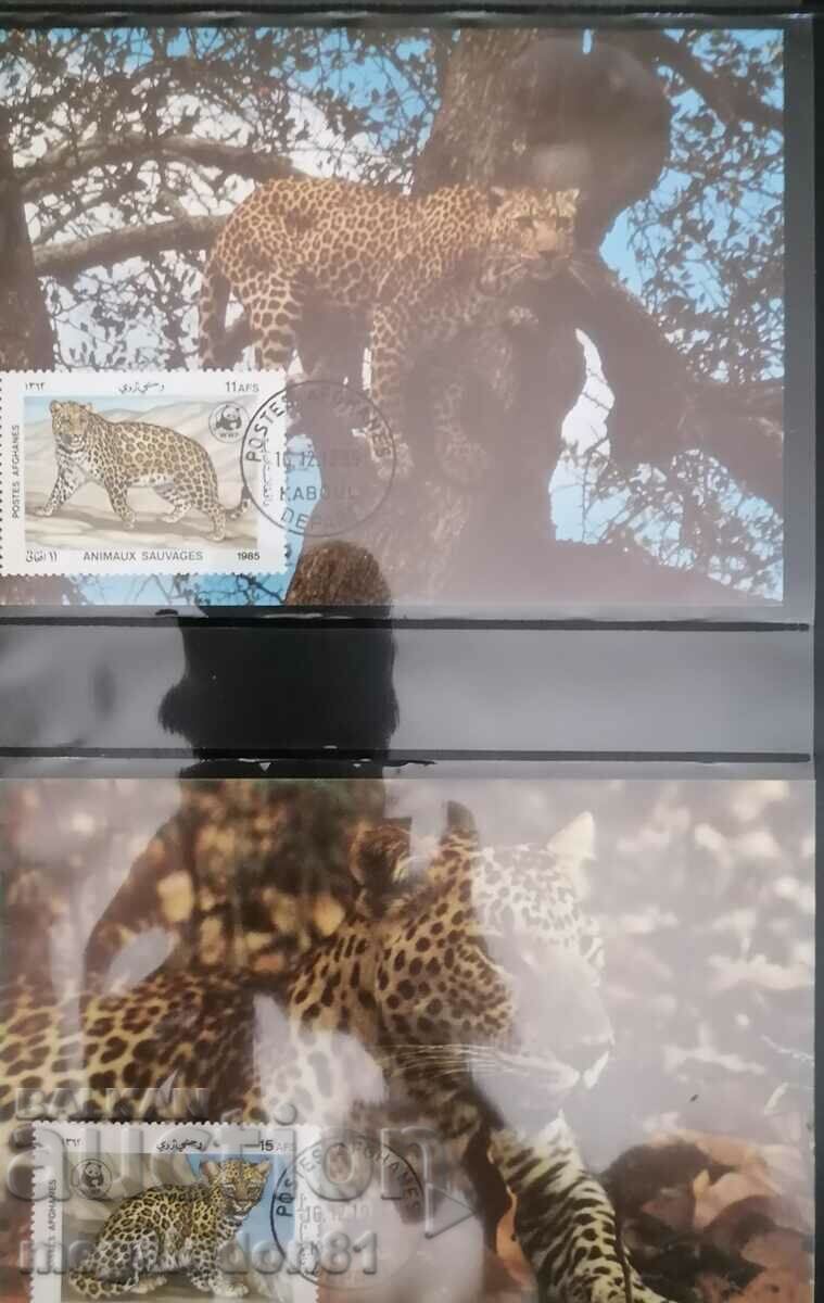Afghanistan - WWF fauna, leopard, maps maximum with price 14.00 BGN | € 7.16 Afghanistan - WWF fauna, leopard, maps maximum with price 14.00 BGN | € 7.16