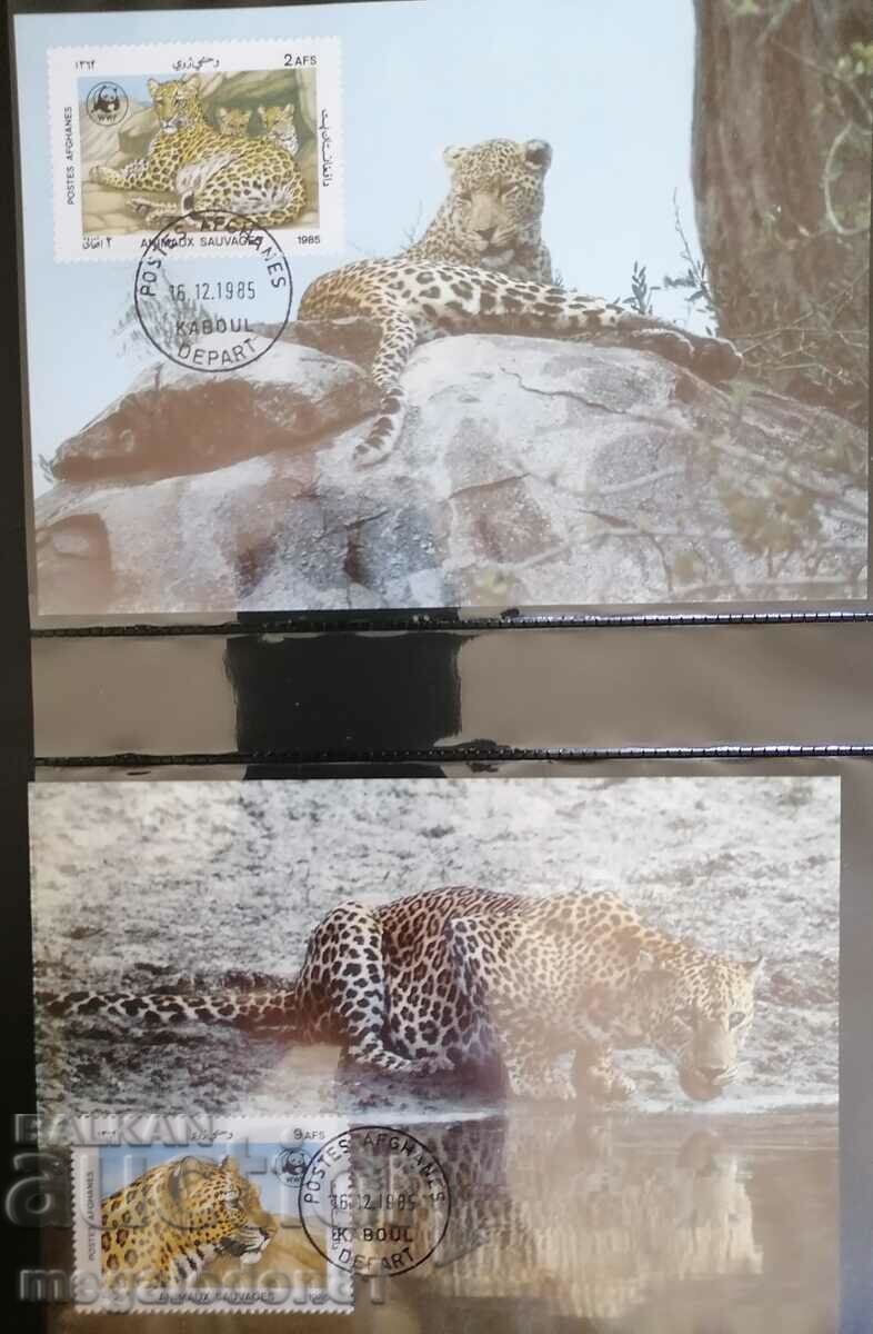 Afghanistan - WWF fauna, leopard, maps maximum