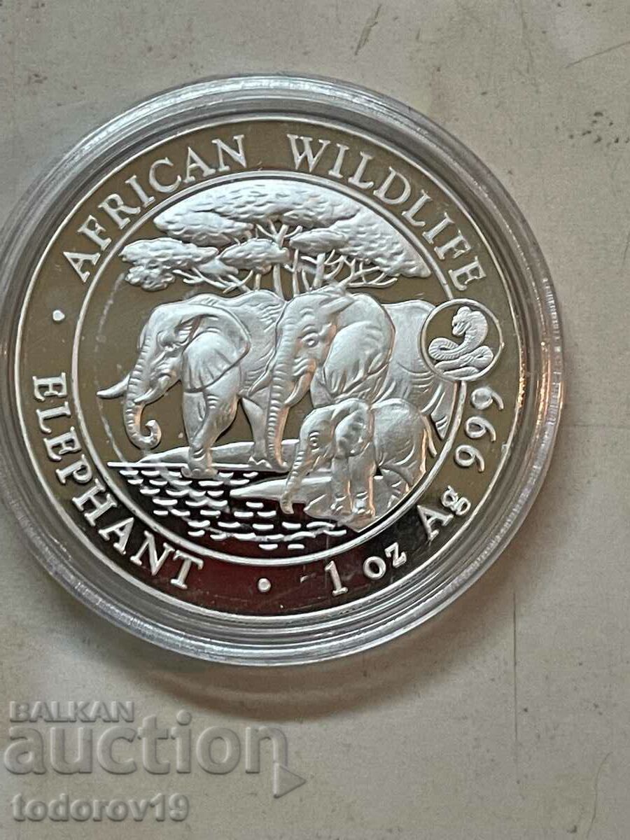 Silver 1 oz Somali Elephant 2013 mark. Snake with price 142.99 BGN | € 73.11 Silver 1 oz Somali Elephant 2013 mark. Snake with price 142.99 BGN | € 73.11