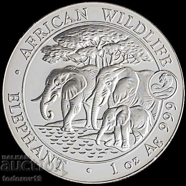 Silver 1 oz Somali Elephant 2013 mark. Snake