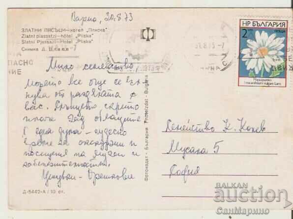 Card Bulgaria Varna Golden Sands Hotel "Pliska"* with price 0.80 BGN | € 0.41 Card Bulgaria Varna Golden Sands Hotel "Pliska"* with price 0.80 BGN | € 0.41