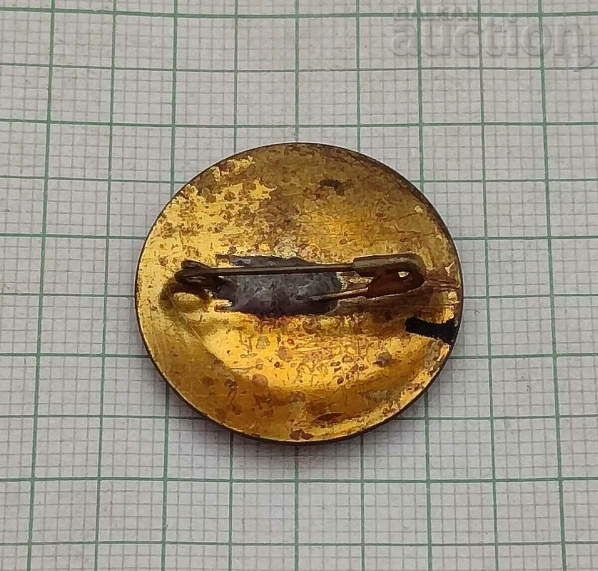 ARAB LEAGUE UNITY UNION EGYPT ISLAM VINTAGE 70th BADGE with price 20.00 BGN | € 10.23 ARAB LEAGUE UNITY UNION EGYPT ISLAM VINTAGE 70th BADGE with price 20.00 BGN | € 10.23