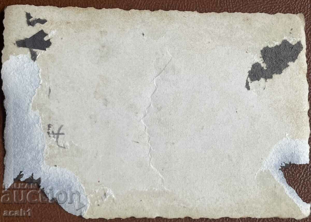 Company military camp in the forest with price 4.99 BGN | € 2.55 Company military camp in the forest with price 4.99 BGN | € 2.55