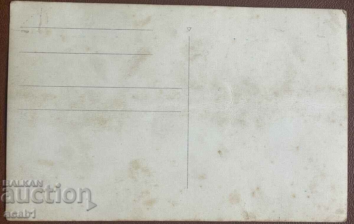 Boris garden Mostcheto with price 7.99 BGN | € 4.09 Boris garden Mostcheto with price 7.99 BGN | € 4.09