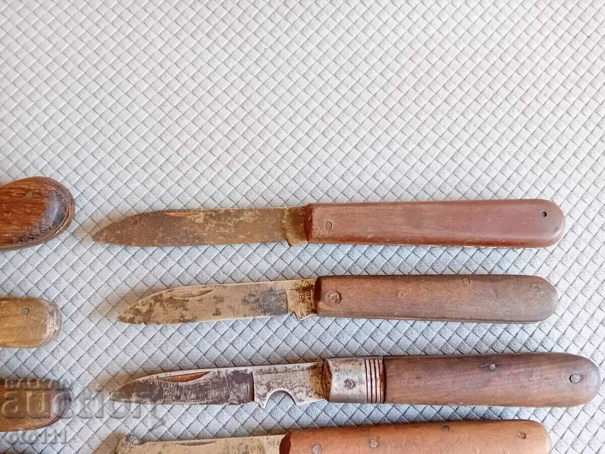 Delivery of KNIFE, LEGS - 10 pieces