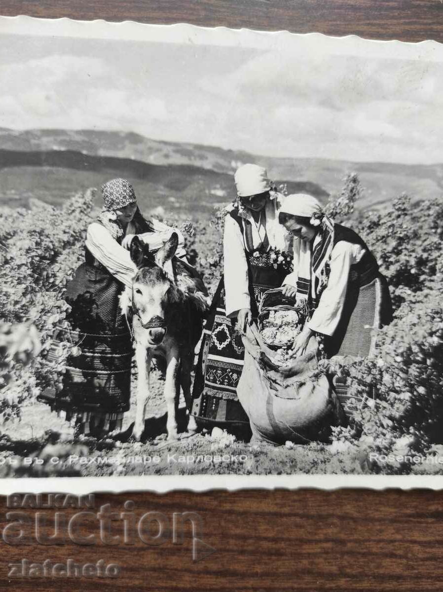 Postal card Kingdom of Bulgaria - village of Rahmanlare Karlovsko with price 35.00 BGN | € 17.90 Postal card Kingdom of Bulgaria - village of Rahmanlare Karlovsko with price 35.00 BGN | € 17.90