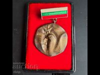 National Committee for the Protection of Peace old medal