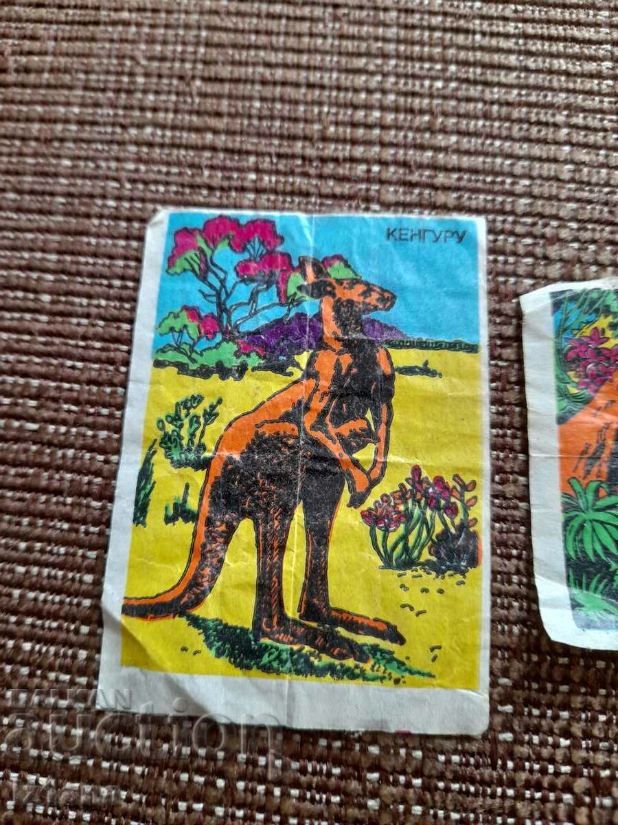 Picture, pictures of chewing gum with price 16.00 BGN | € 8.18