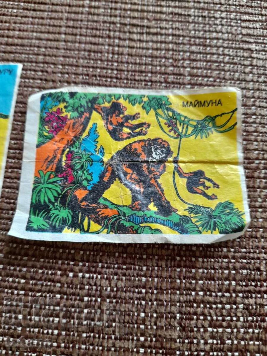 Auction  Picture, pictures of chewing gum