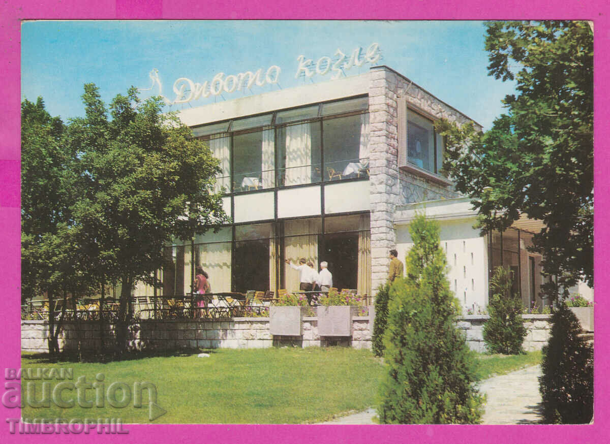 Δημοπρασία 311467 / ΧΑΣΚΟΒΟ εστιατόριο The Wild Goat Akl-2019 PK Fotoizda