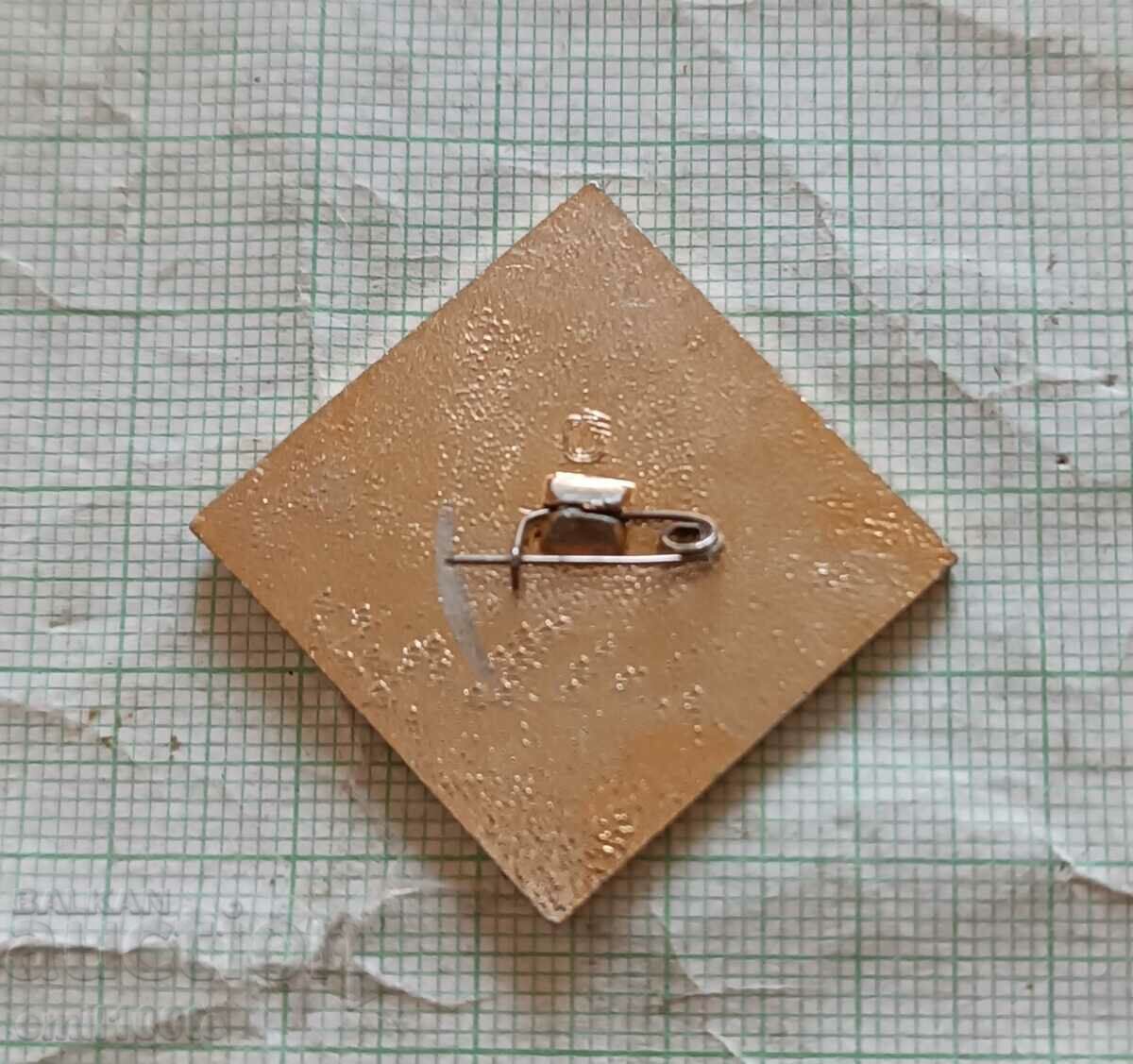 Delivery of Badge - USSR SKDA Wrestling Tournament 1986. Judo Delivery of Badge - USSR SKDA Wrestling Tournament 1986. Judo