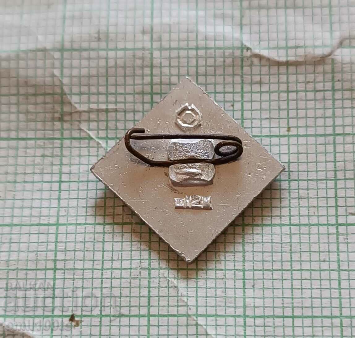 Delivery of Badge - Dynamo Kyiv supporter Delivery of Badge - Dynamo Kyiv supporter