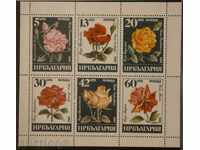 3414-3419-Βουλγαρικό τριαντάφυλλο
