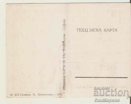 Card Bulgaria Pirin Edelweiss Hut* with price 6.90 BGN | € 3.53