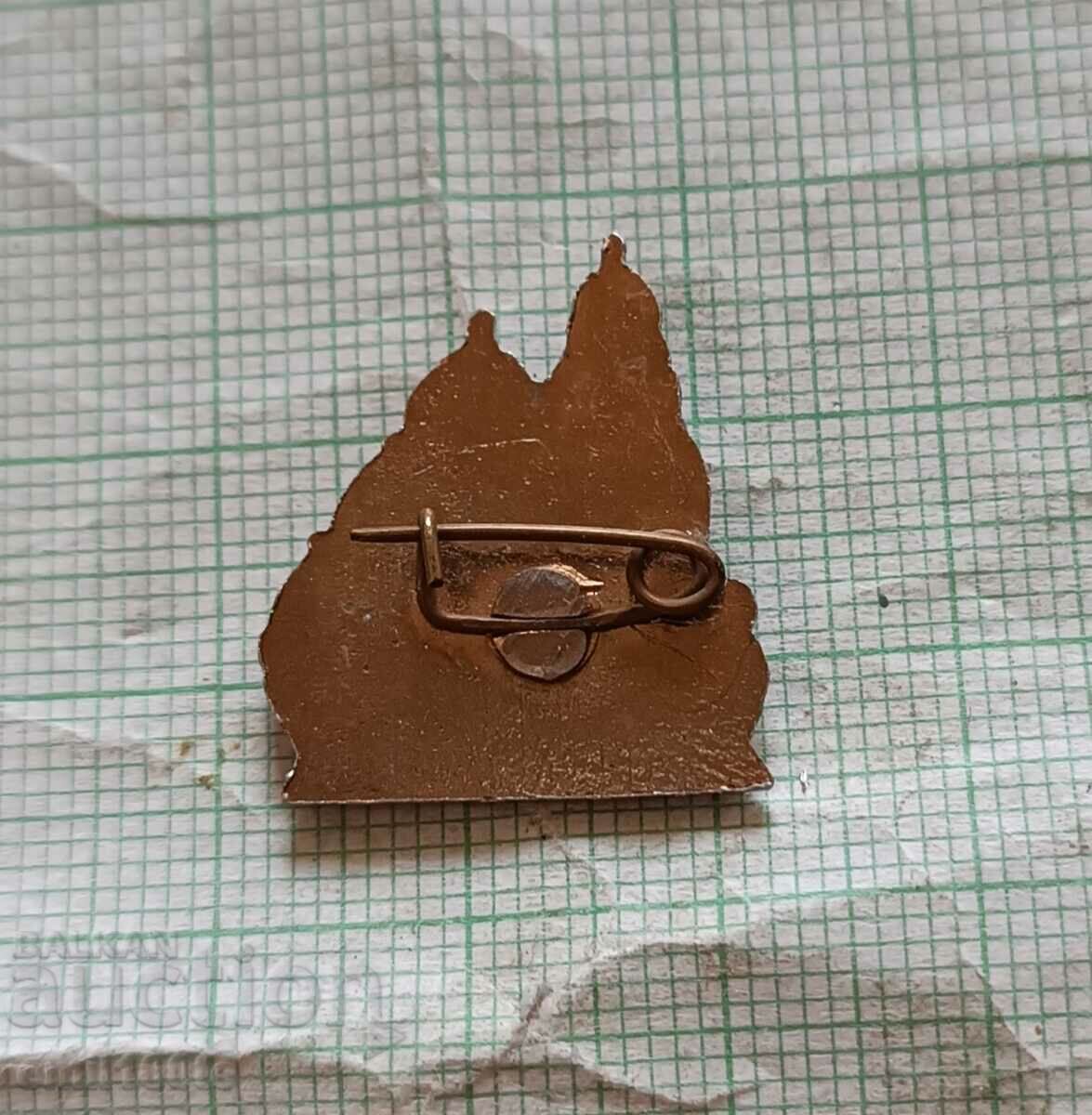 Delivery of Badge - Temple - Alexander Nevsky monument