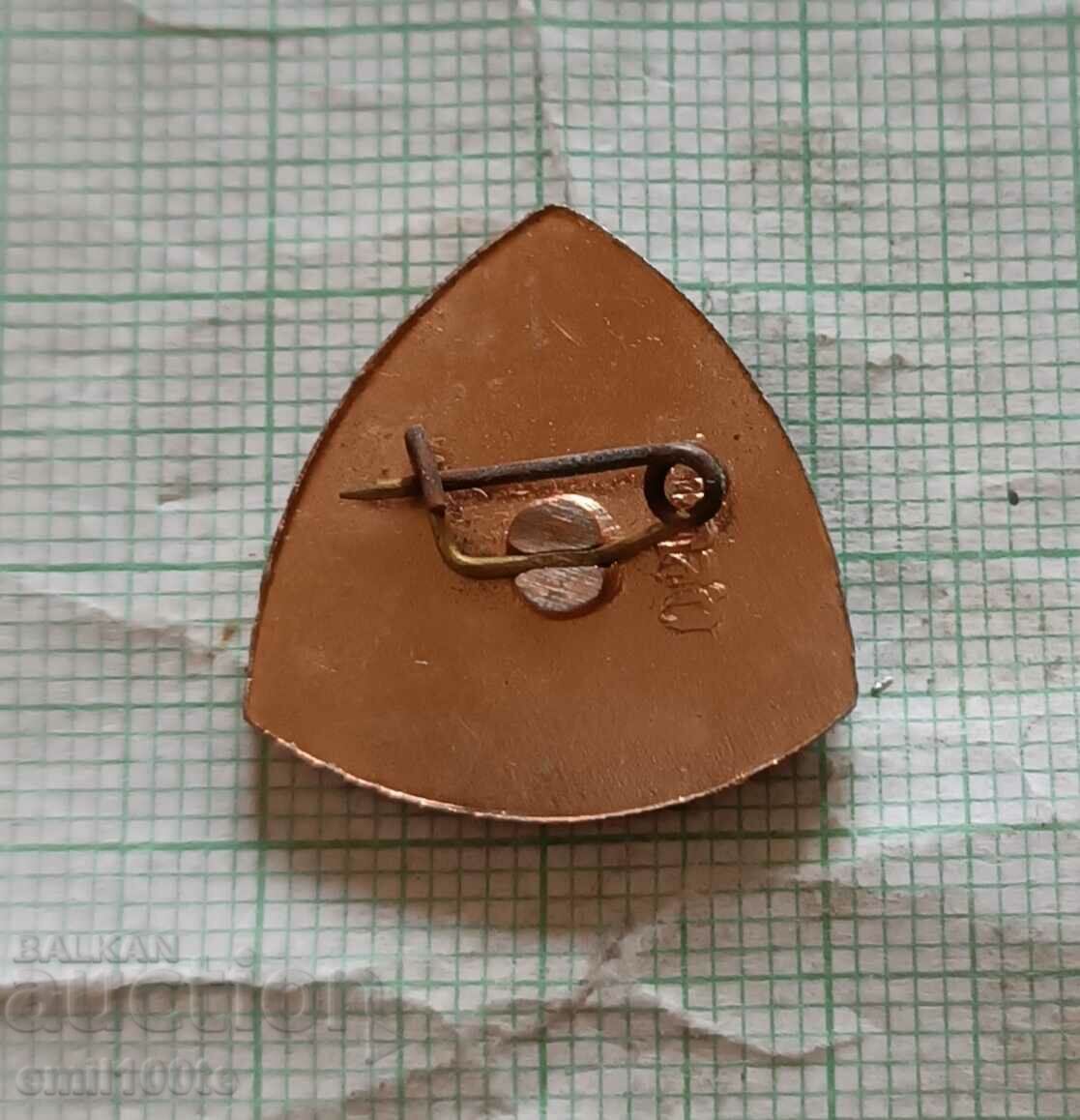 Delivery of Badge - Hungarian horseman Delivery of Badge - Hungarian horseman