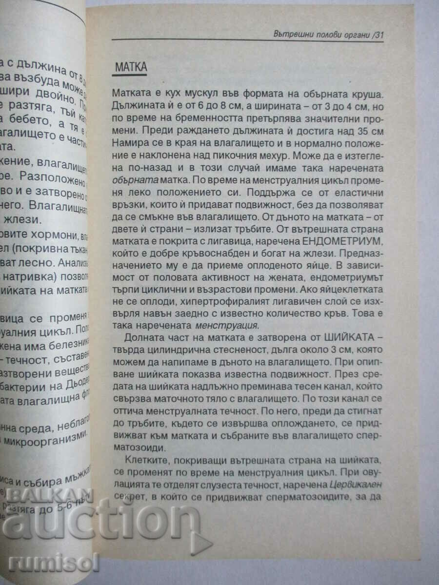 Auction Woman's Desk Book - Marie-Claude Delaille Auction Woman's Desk Book - Marie-Claude Delaille