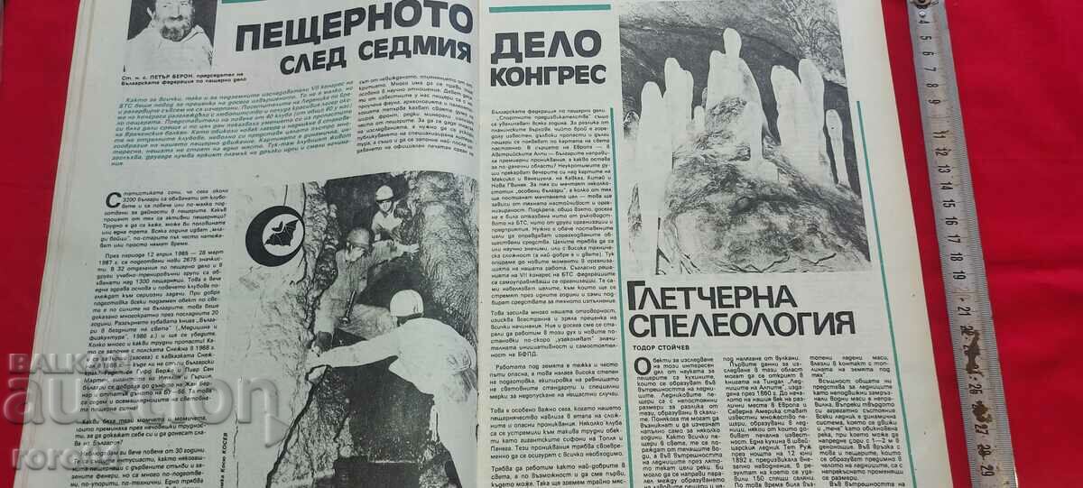 TOURIST - 6 TOURIST - 6