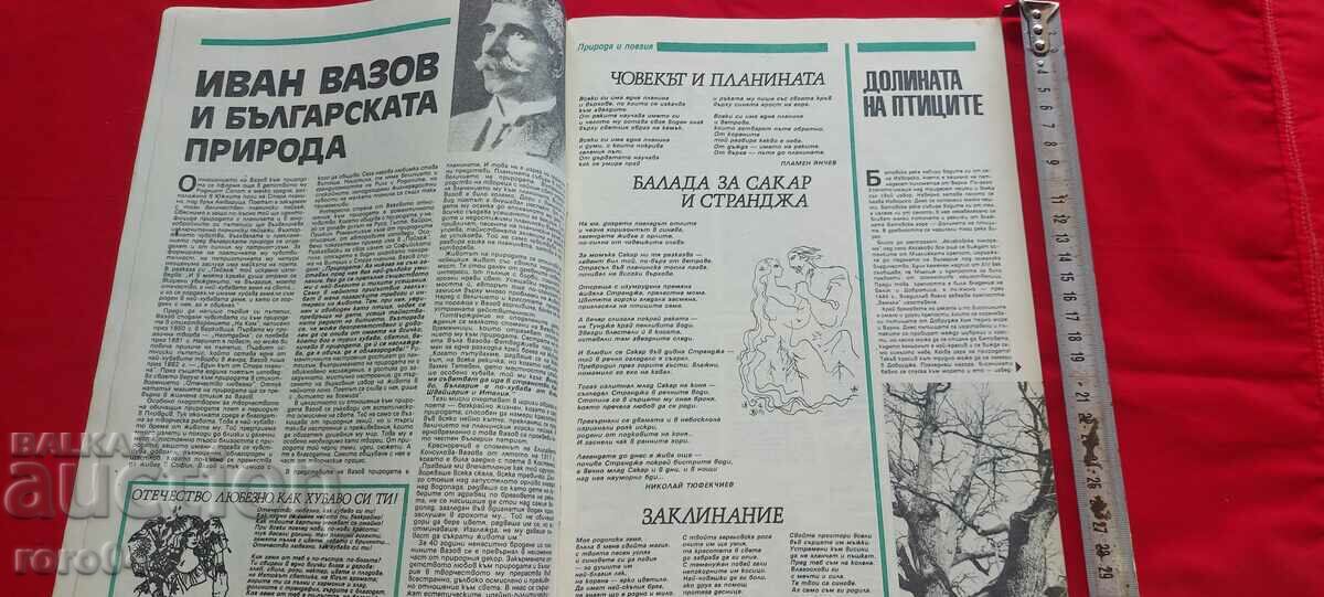 Auction TOURIST Auction TOURIST