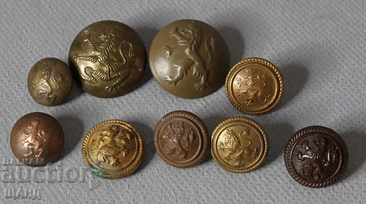 Царство България лот 9 копчета Офицерска униформа лъв
