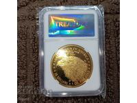 Το American Eagle 2021 διαβάζει την περιγραφή