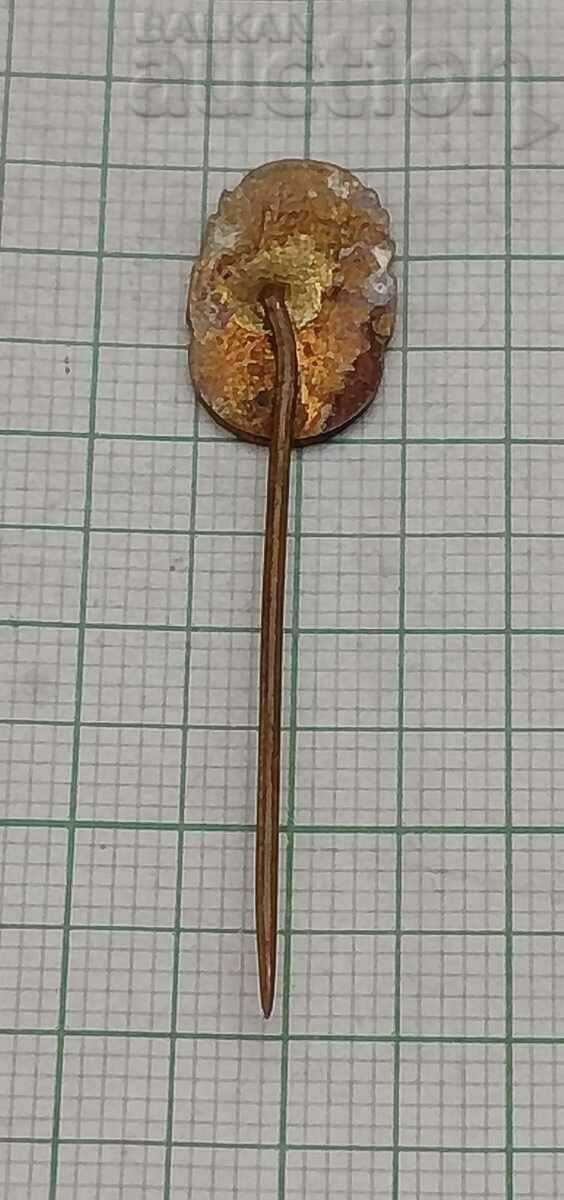 SPORTS CLUB TJ OSTROJ OPAWA CZECHOSLOVAKIA BADGE EMAL με τιμή 3.00 BGN | € 1.53 SPORTS CLUB TJ OSTROJ OPAWA CZECHOSLOVAKIA BADGE EMAL με τιμή 3.00 BGN | € 1.53