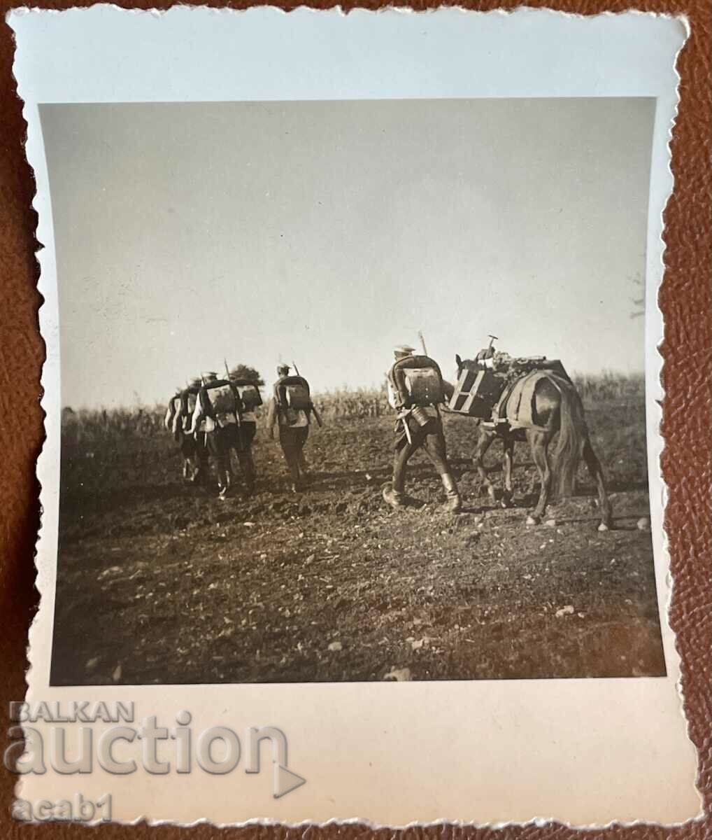 Auction Rota Uchenie 30 te Auction Rota Uchenie 30 te