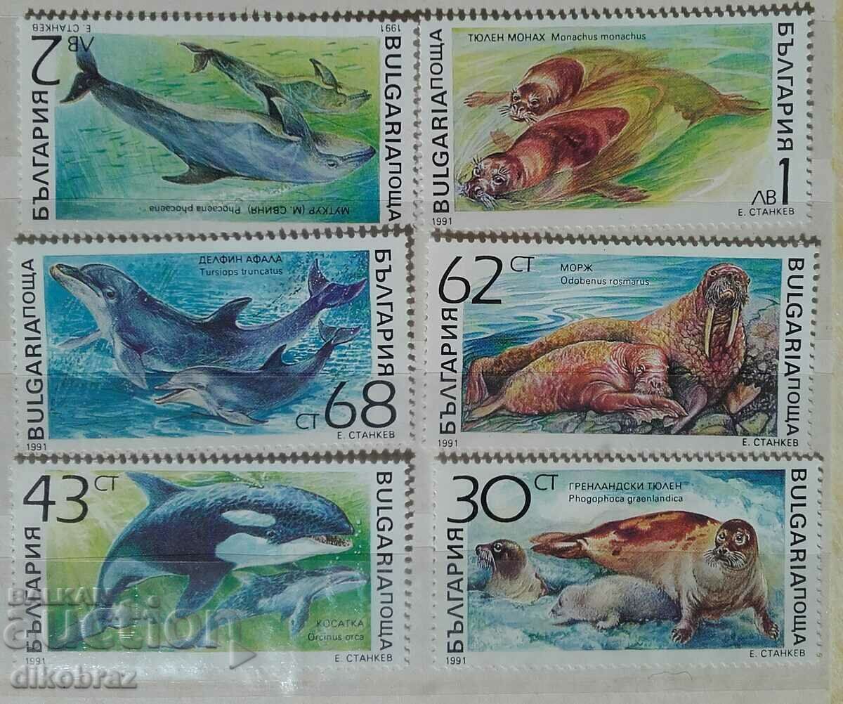 България 1991 - Морски бозайници 3975 / 80
