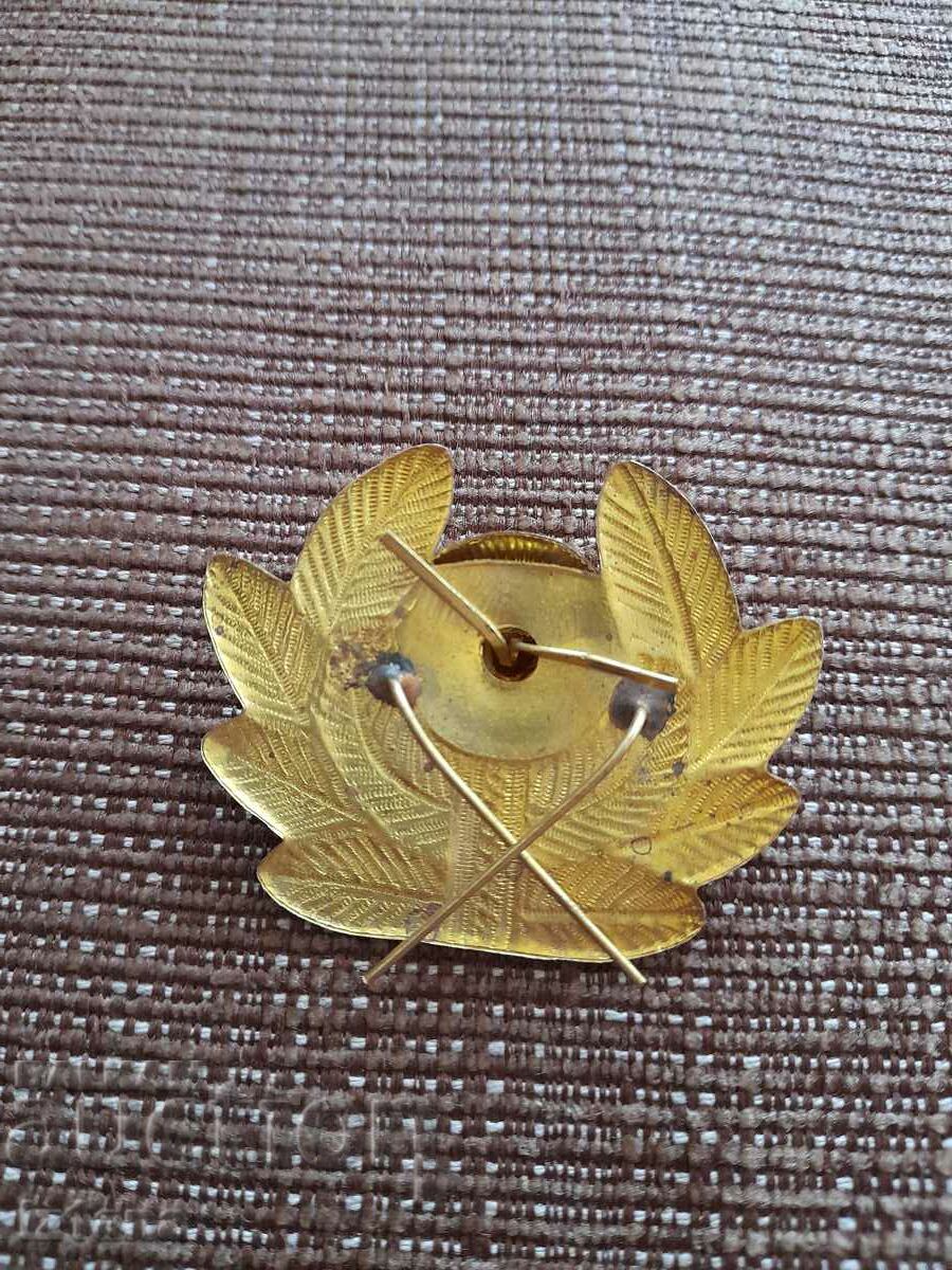 Old Military Cockade with price 16.00 BGN | € 8.18 Old Military Cockade with price 16.00 BGN | € 8.18