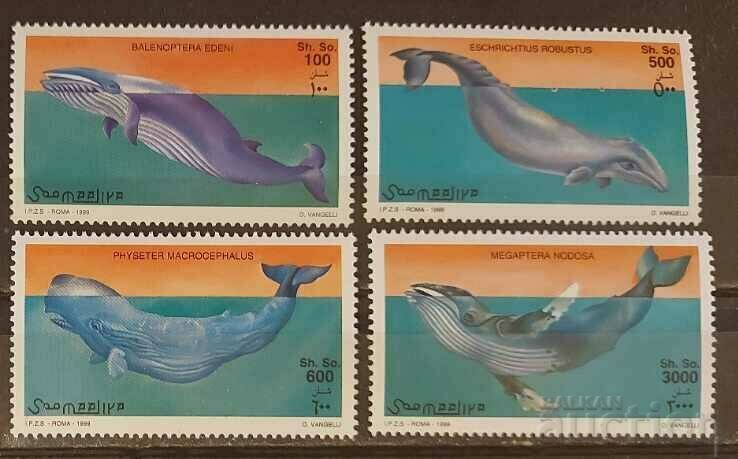 Σομαλία 1999 Πανίδα/Φάλαινες 13,25 € MNH