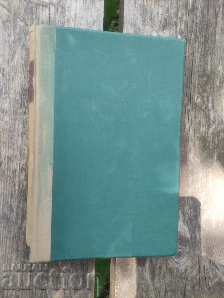 Auction  The basic principle of law. Tseko Torbov