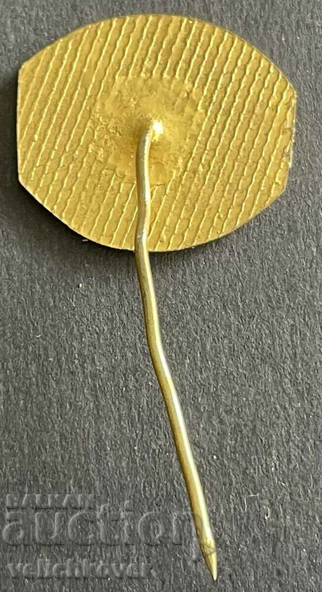 37482 Bulgaria sign Museum Razgrad Thracian gold ring with price 4.00 BGN | € 2.05 37482 Bulgaria sign Museum Razgrad Thracian gold ring with price 4.00 BGN | € 2.05