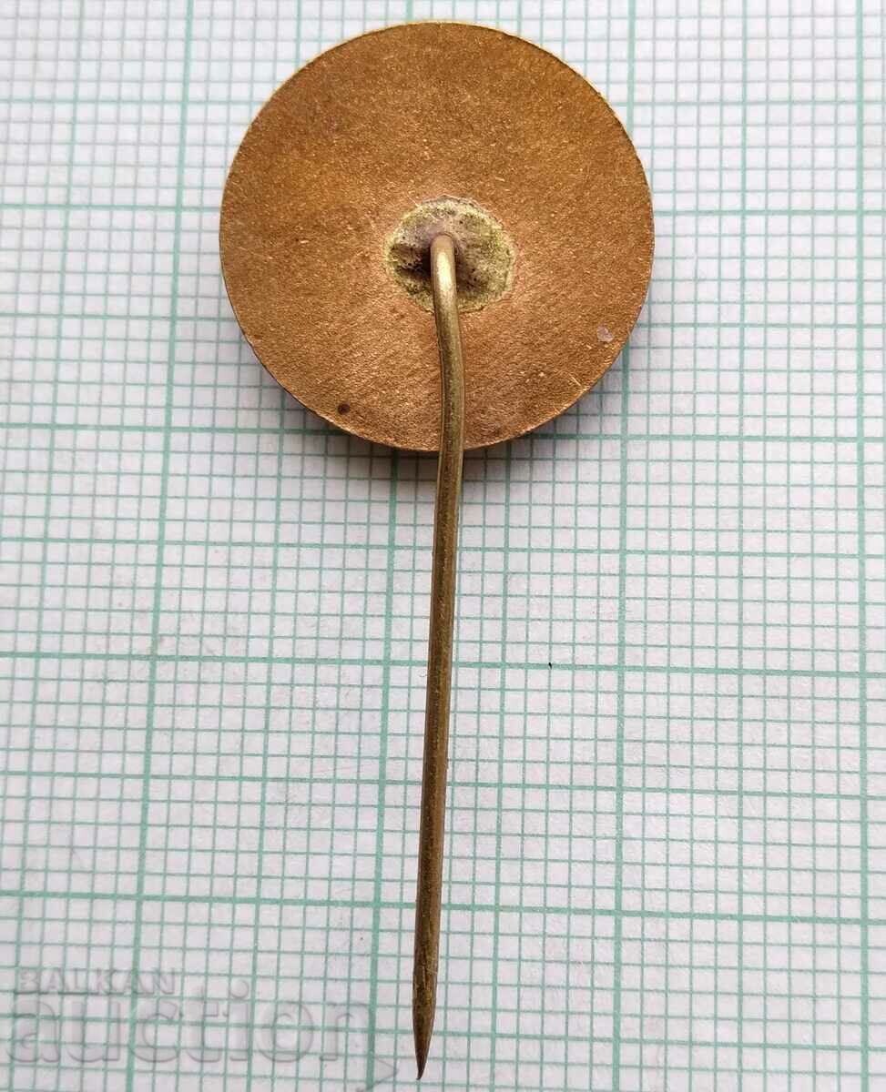 Auction 15973 Badge - Georgi Dimitrov - bronze enamel Auction 15973 Badge - Georgi Dimitrov - bronze enamel