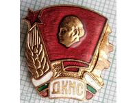 15979 Badge - DKMS - bronze enamel