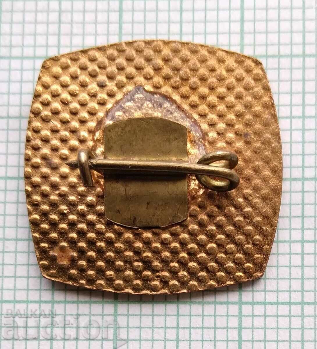 Auction 15981 Badge - Young Dimitrovtsi - bronze Auction 15981 Badge - Young Dimitrovtsi - bronze