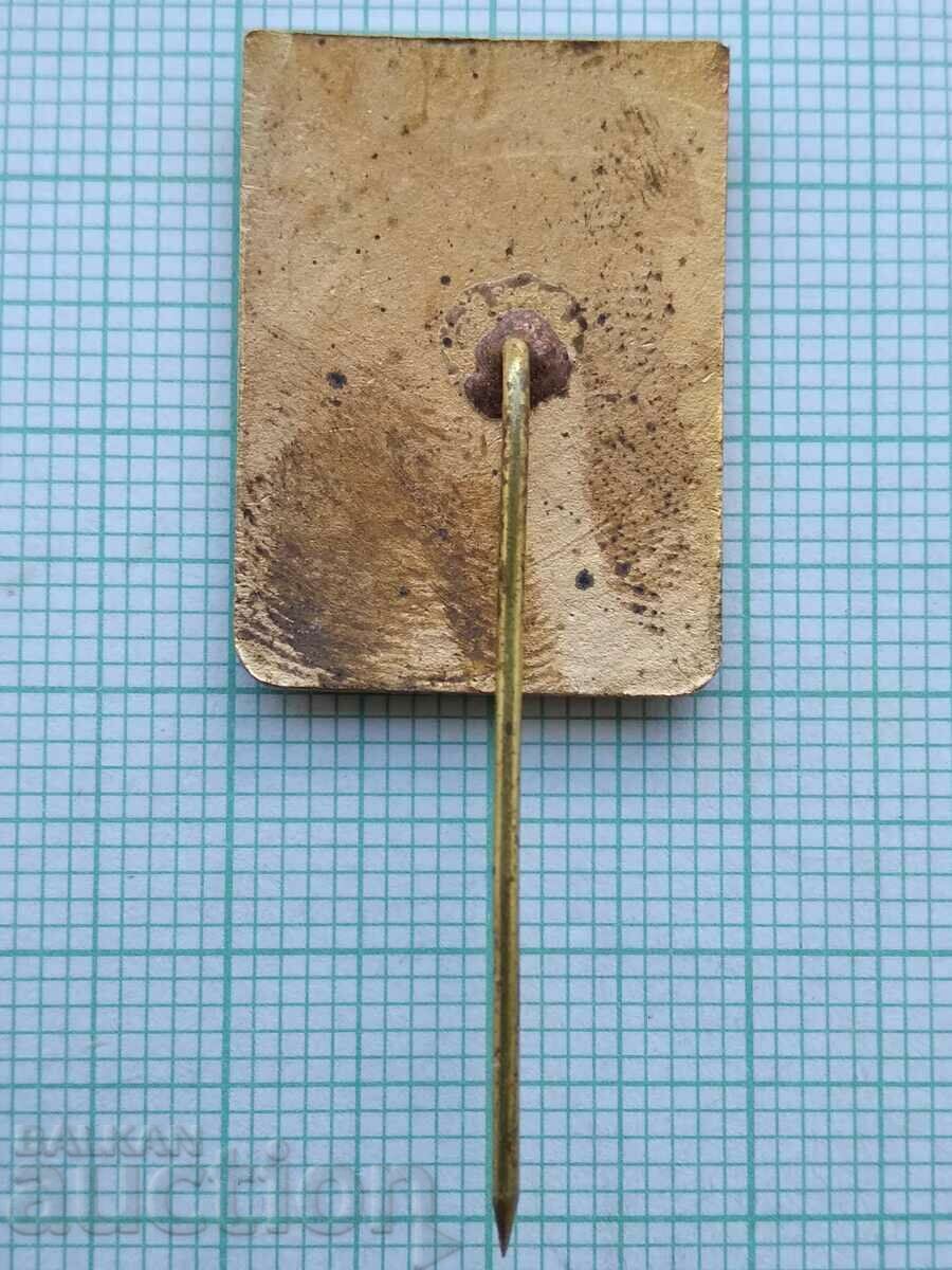 Auction  15984 Badge - Alpinism 3rd class - bronze enamel