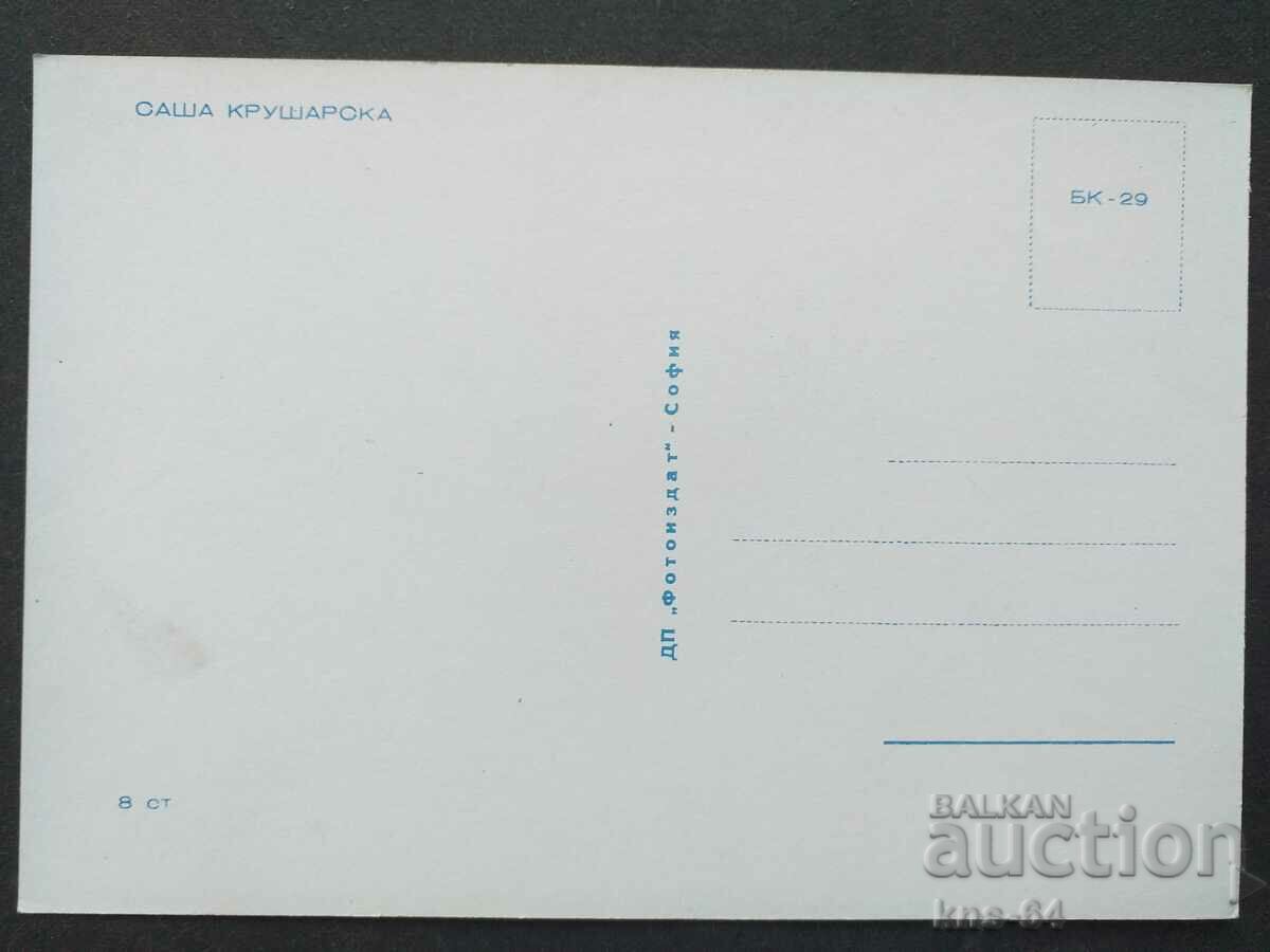 Σάσα Κρουσάρσκα με τιμή 1.30 BGN | € 0.66 Σάσα Κρουσάρσκα με τιμή 1.30 BGN | € 0.66