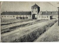 Lagărul de concentrare de la Auschwitz 1965