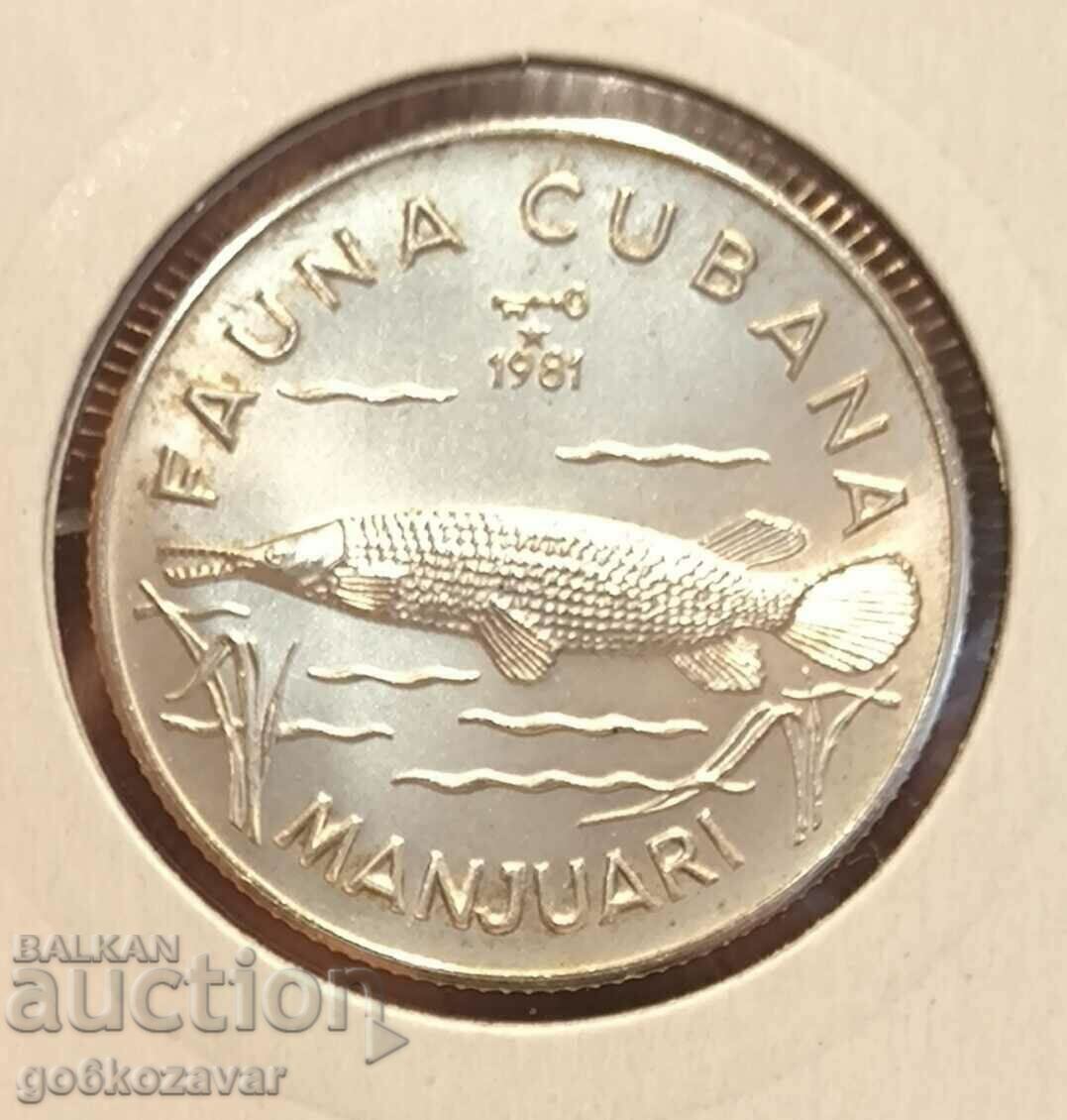 Доставка на Куба 5 песос 1981г Сребро 9,999 Тираж 5000бр UNC ! Рядка !