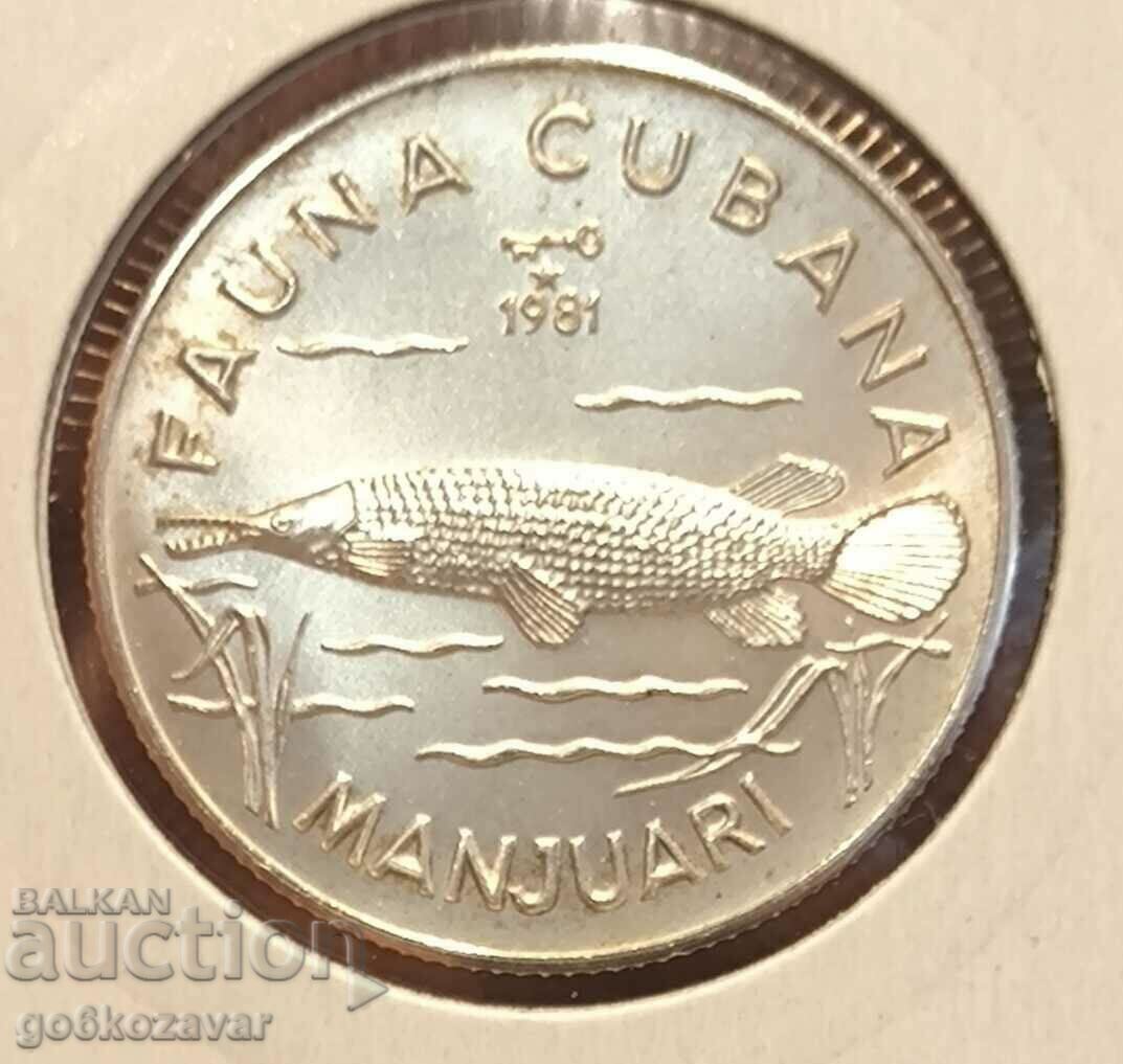 Куба 5 песос 1981г Сребро 9,999 Тираж 5000бр UNC ! Рядка ! - 6