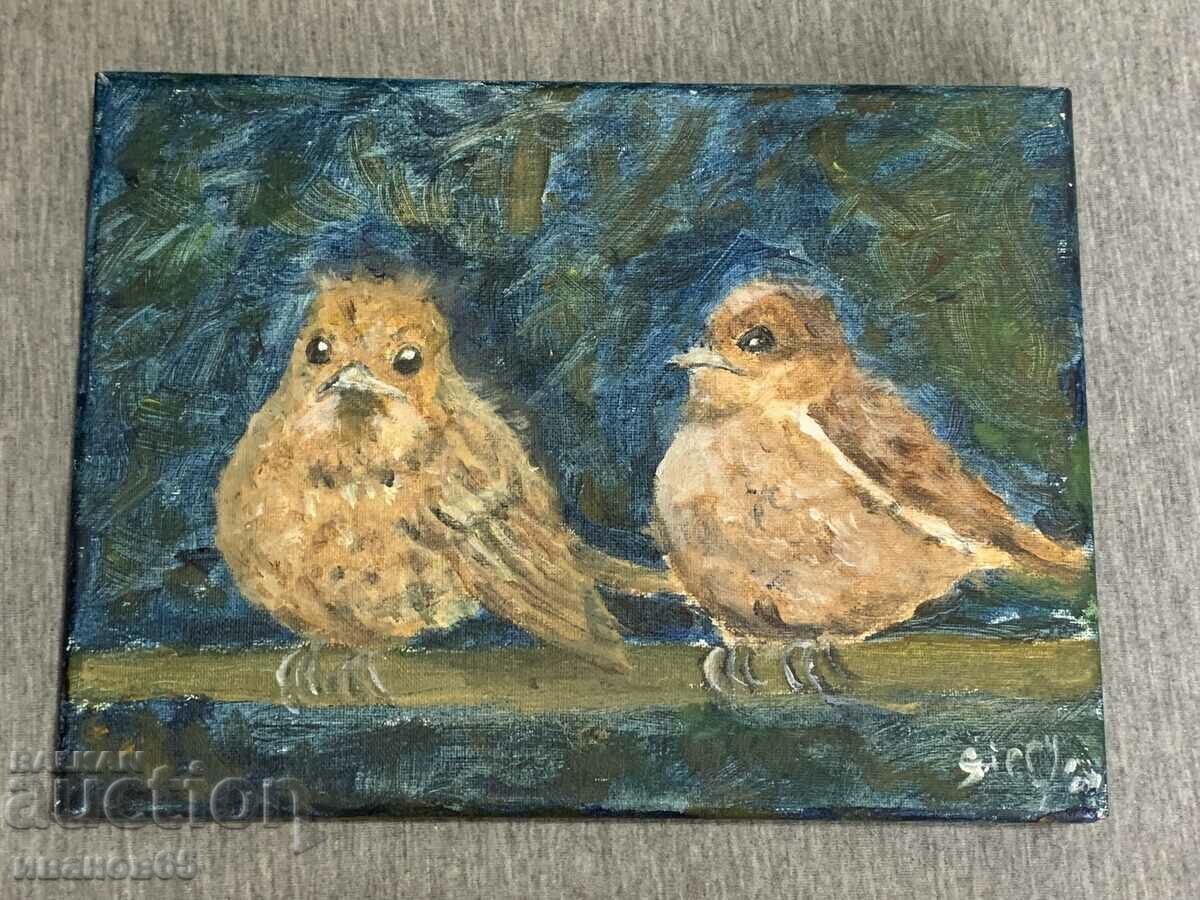 picture of birds