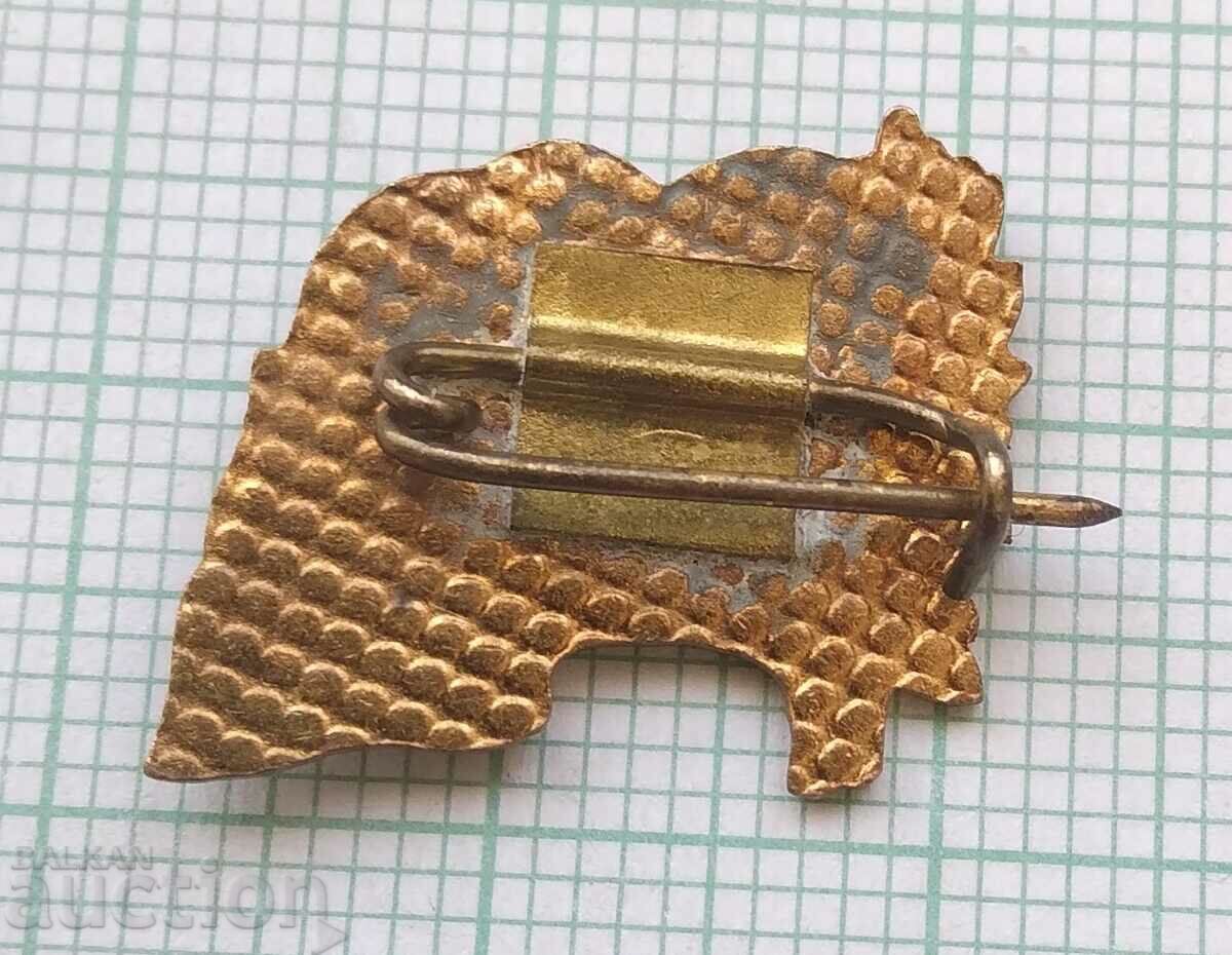 Auction 16001 Badge - USSR NRB Eternal friendship - Lenin Dimitrov - enamel Auction 16001 Badge - USSR NRB Eternal friendship - Lenin Dimitrov - enamel